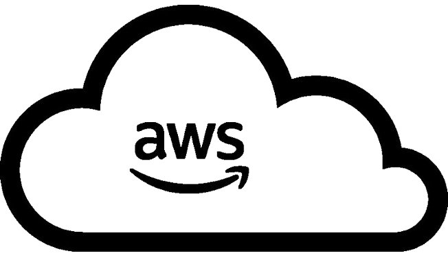 AWS Icon